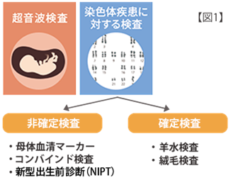 図１